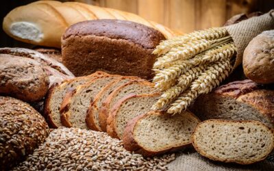 “Brot des Lebens” – Familiengottesdienst zu Erntedank / So. 6.10. um 10.30 Uhr